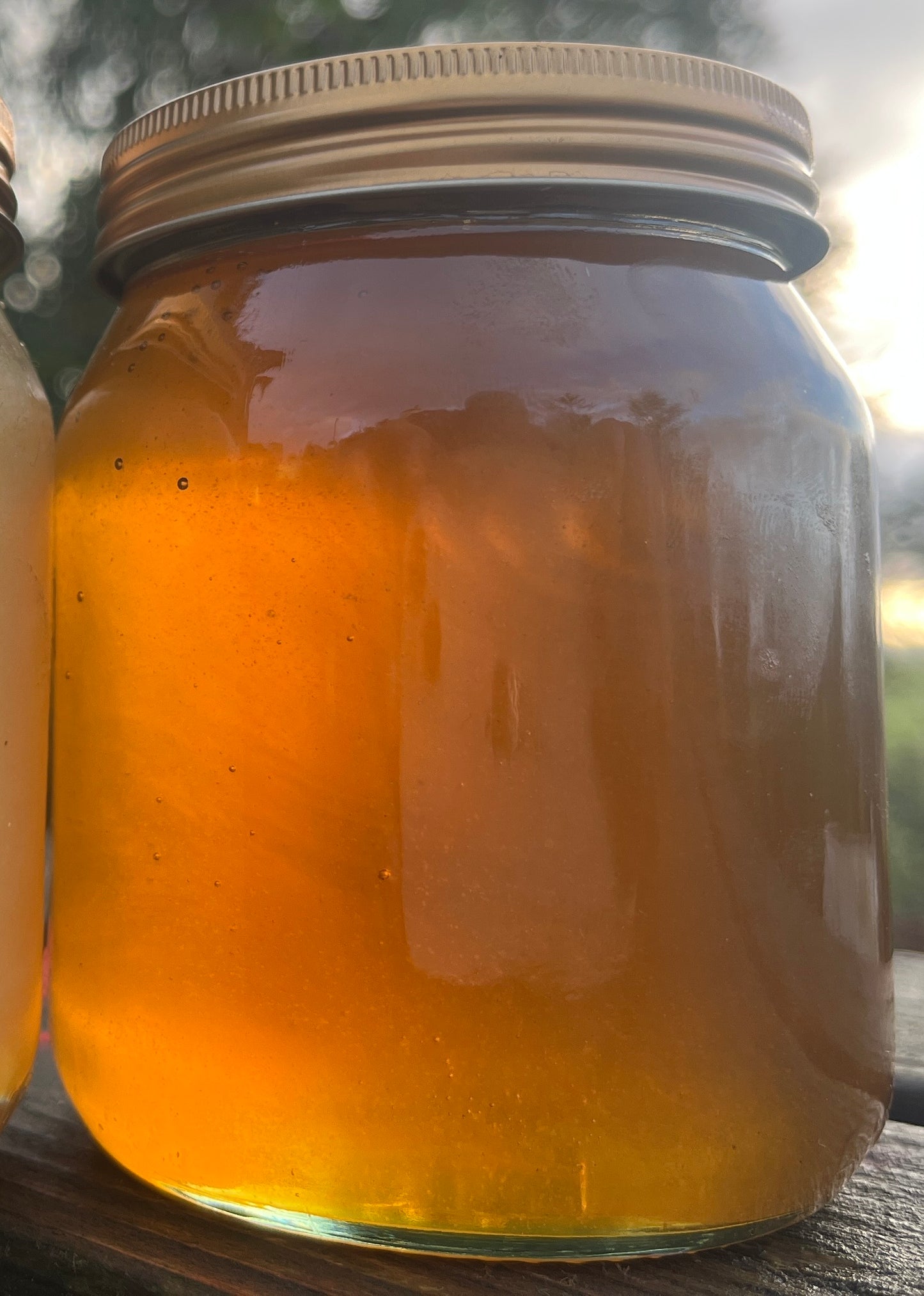 16oz (1lb) Wildflower Honey